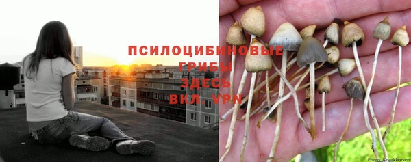 экстази Бронницы