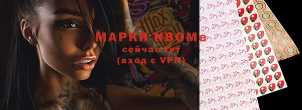 прущий лед Бородино