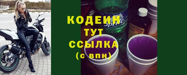 прущий лед Бородино