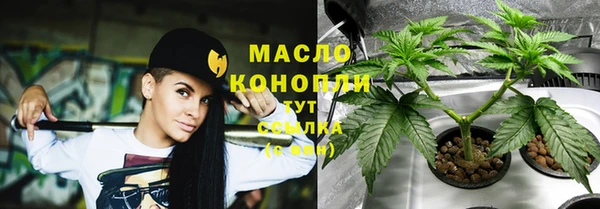 прущий лед Бородино
