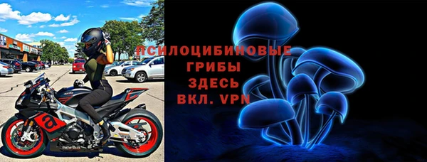 прущий лед Бородино